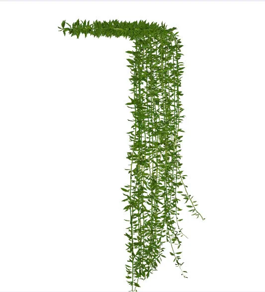 Cay Cuc Tan An Do Sketchup