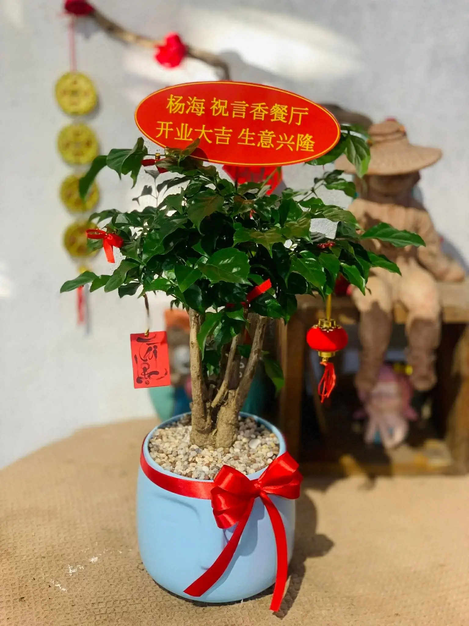 Chậu Cây Hạnh Phúc Để Bàn
