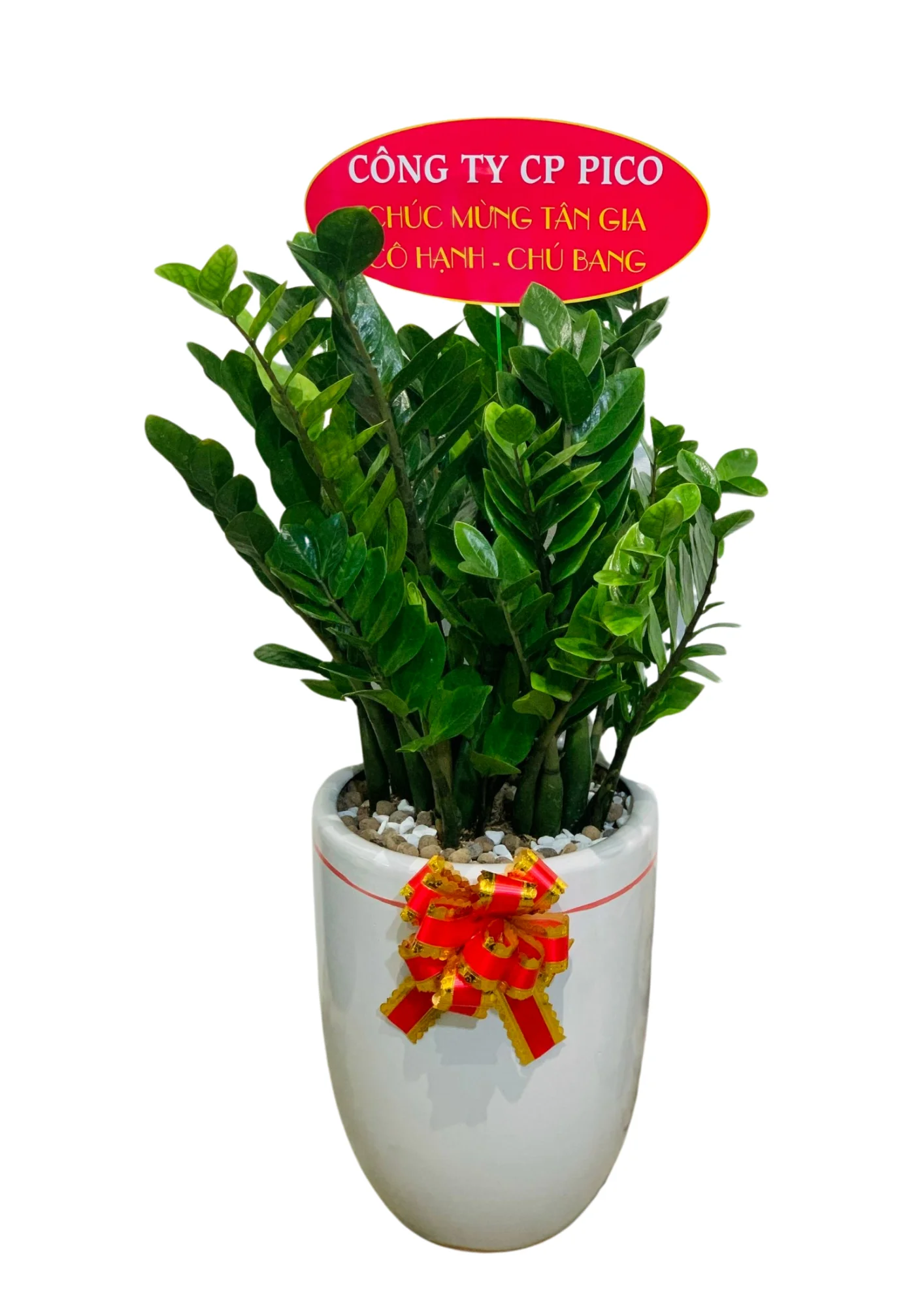 Kim Tien Trung Hinh 3