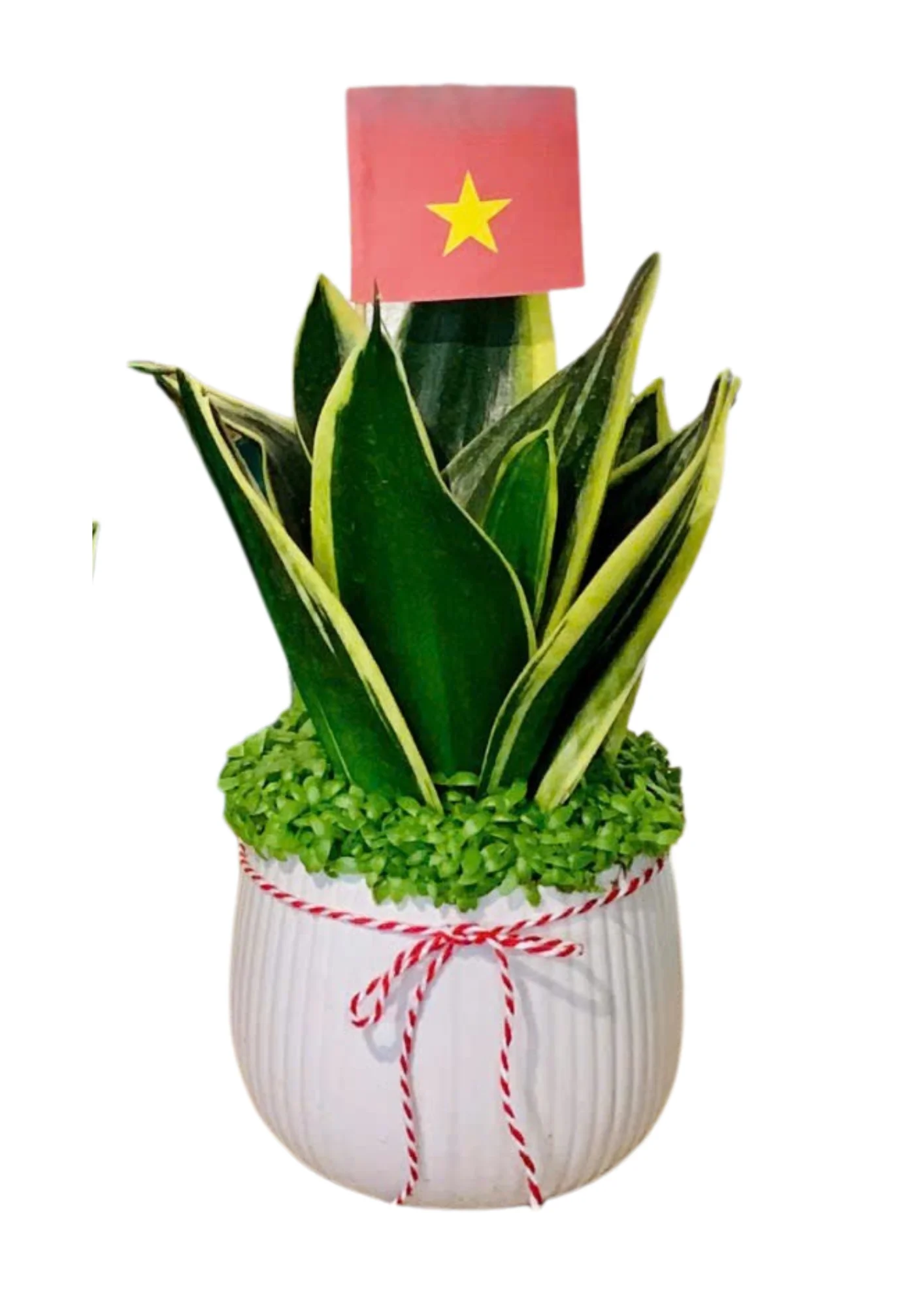 Luoi Ho Nho De Ban